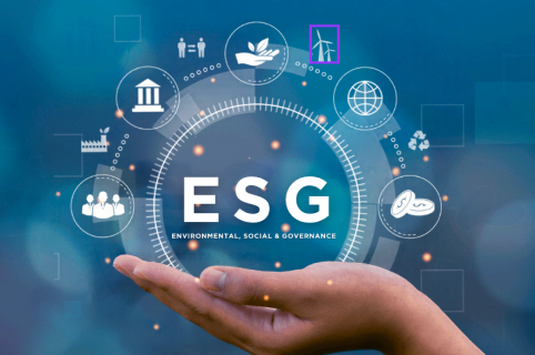Environmental Social Governance